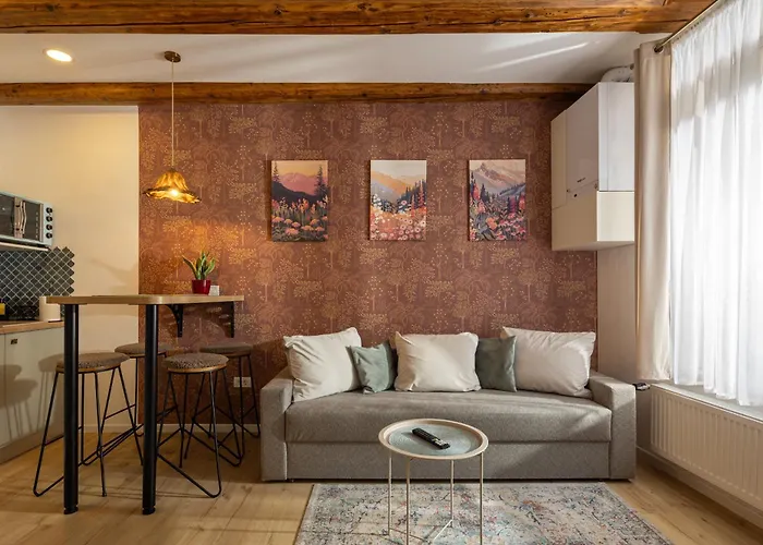 Seek And Hide - Marko's Dream Hideaway Apartment Brasov